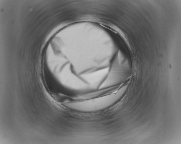 X0000081491147200702021916