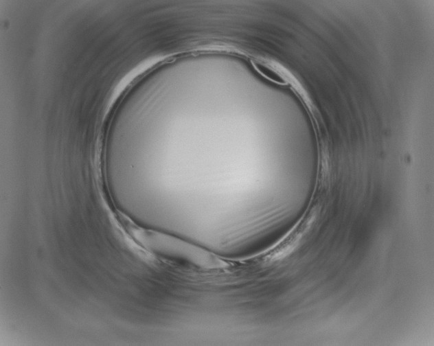 X0000081491149200702021916