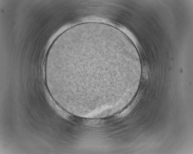 X0000081491150200702021916