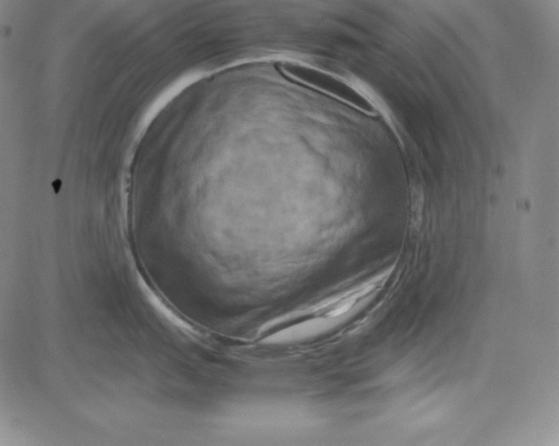 X0000081491151200702021916