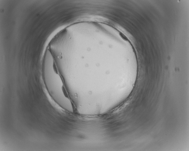 X0000081491152200702021916