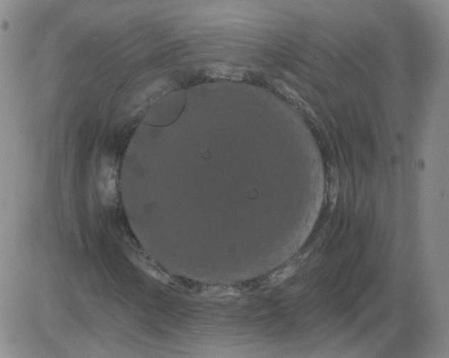 X0000081491154200702021916