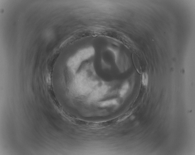 X0000081491155200702021916