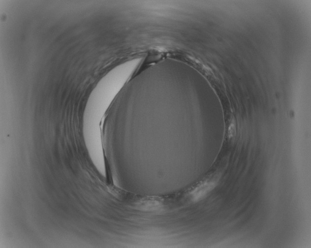 X0000081491156200702021915