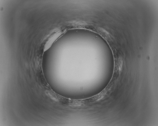 X0000081491157200702021915