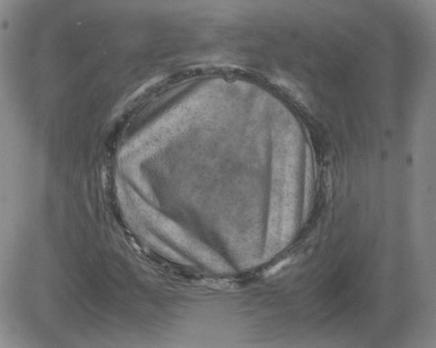 X0000081491159200702021915