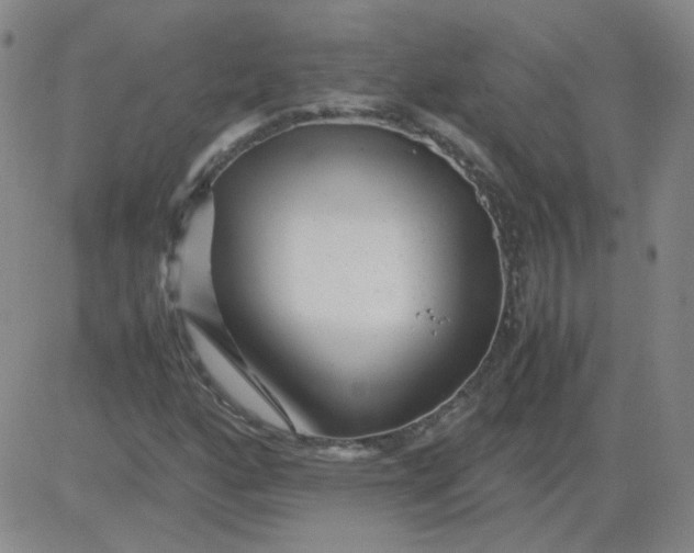 X0000081491160200702021915