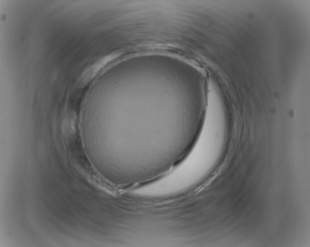 X0000081491161200702021915