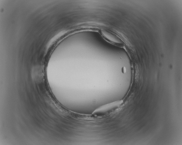 X0000081491164200702021915