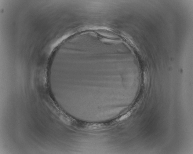 X0000081491165200702021915