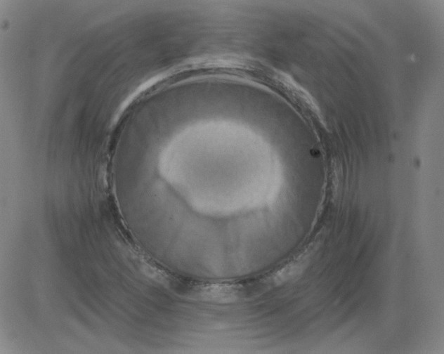 X0000081491166200702021915