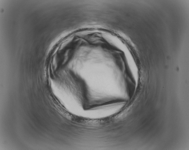 X0000081491167200702021915