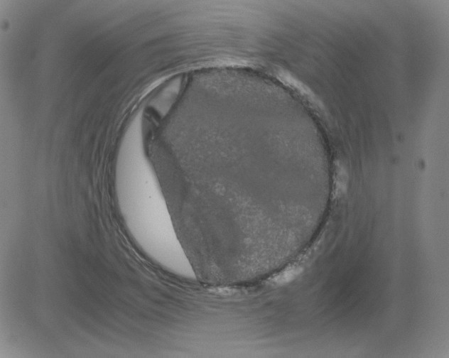 X0000081491169200702021915