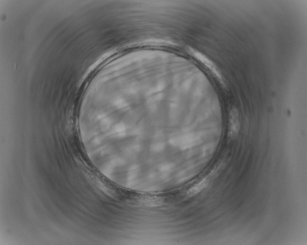 X0000081491170200702021915