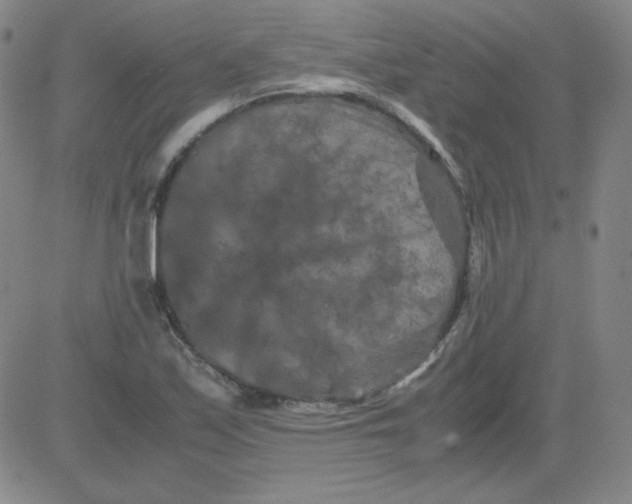 X0000081491171200702021915