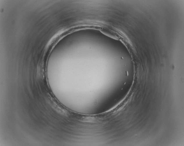 X0000081491172200702021915