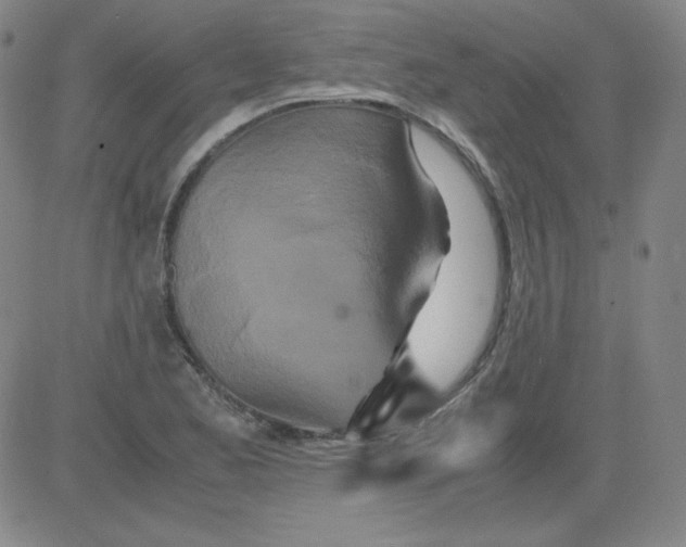 X0000081491173200702021915