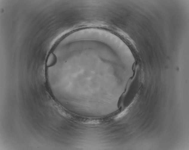 X0000081491174200702021915