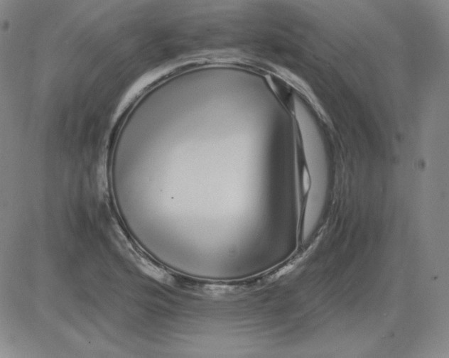 X0000081491176200702021915