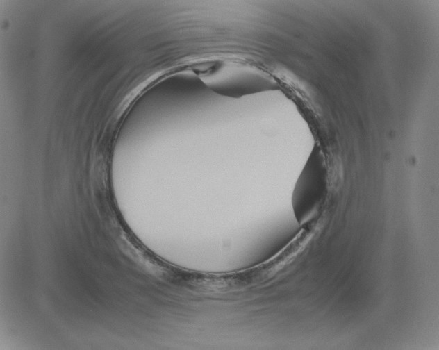 X0000081491177200702021915