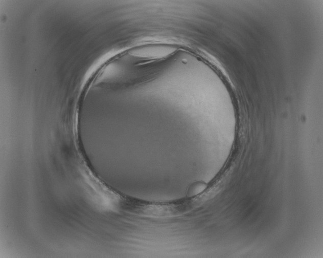 X0000081491179200702021915