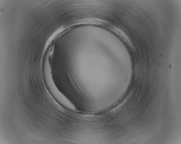 X0000081491180200702021915