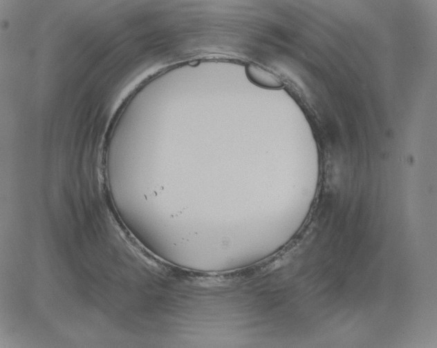 X0000081491182200702021915