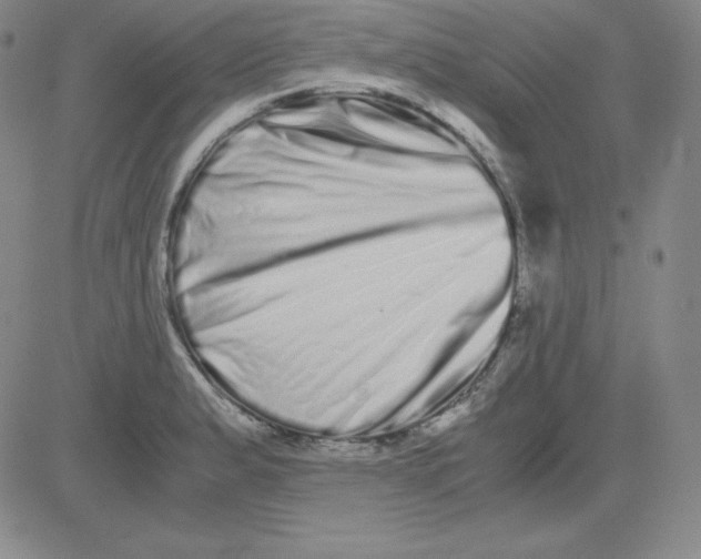 X0000081491183200702021915