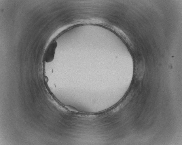 X0000081491184200702021915