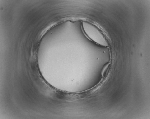 X0000081491185200702021915