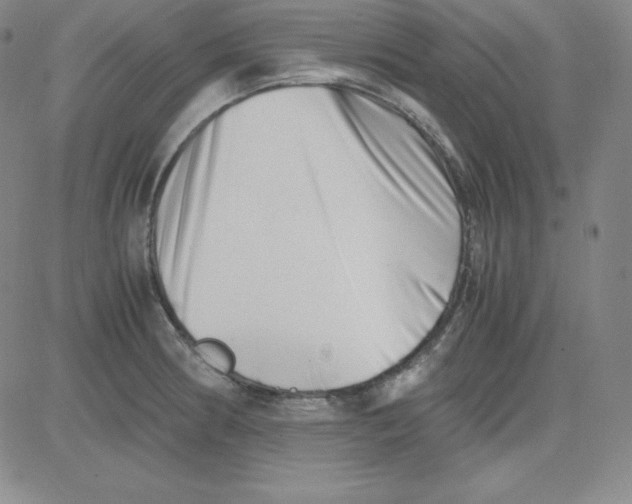 X0000081491186200702021915