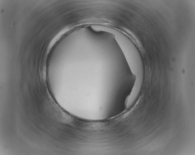 X0000081491188200702021915