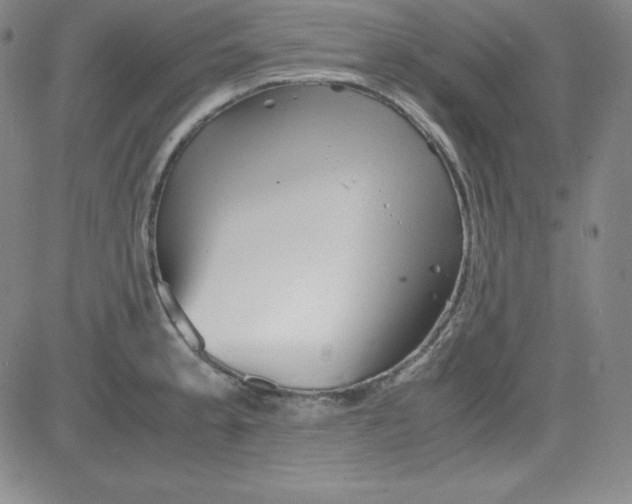 X0000081491189200702021915