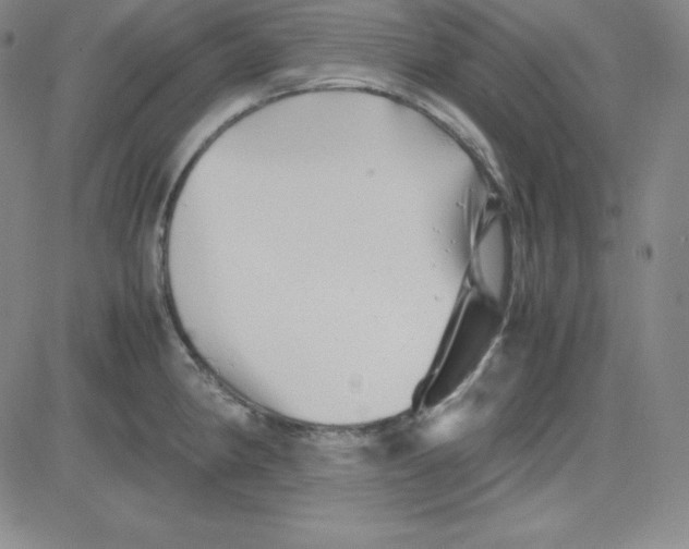 X0000081491190200702021915