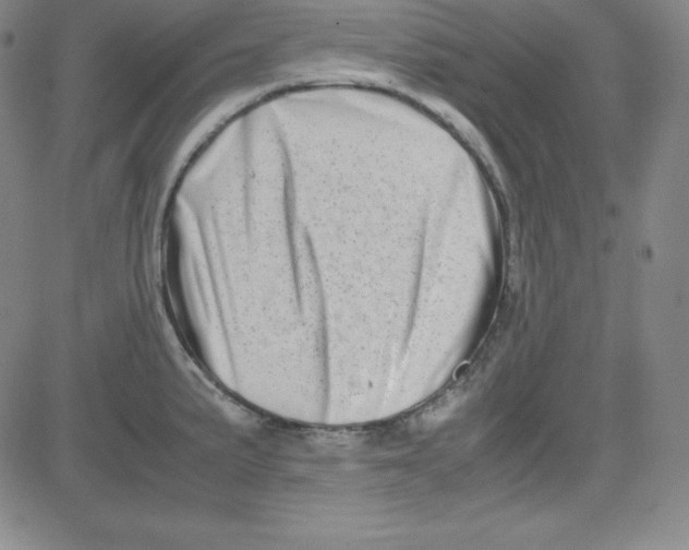 X0000081491191200702021915