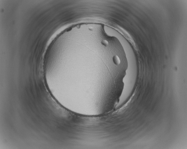 X0000081491192200702021915