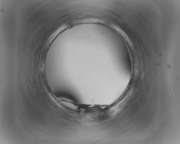 X0000081491193200702021915