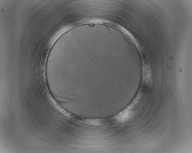 X0000081491194200702021915