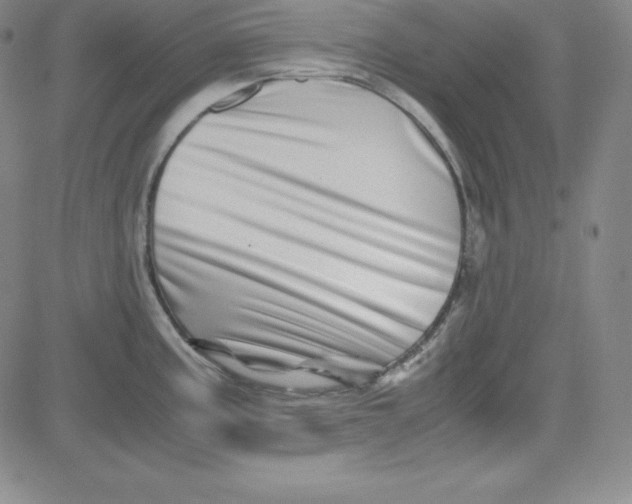 X0000081491195200702021915