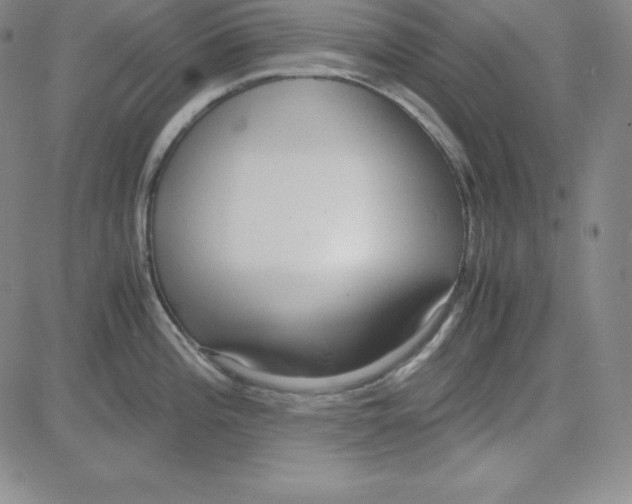 X0000081491196200702021915