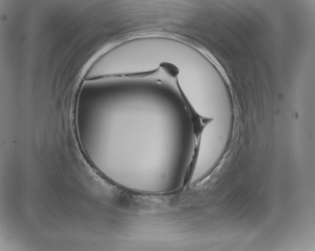 X0000081491197200702021915