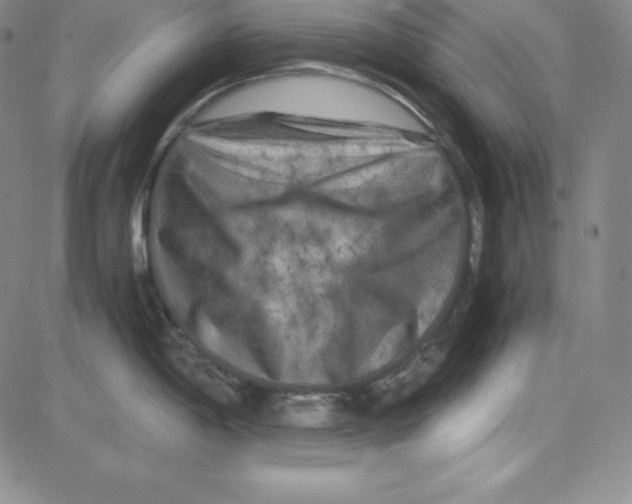 X0000081491198200702021915