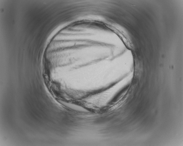 X0000081491199200702021915