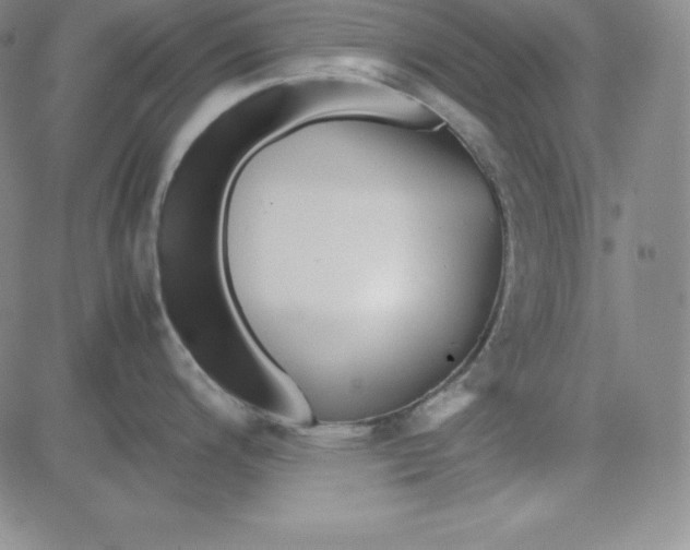 X0000081491200200702021915