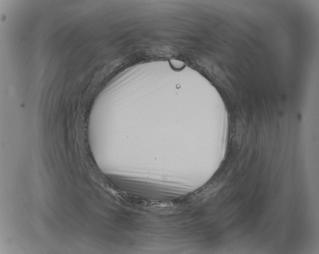 X0000081491201200702021914