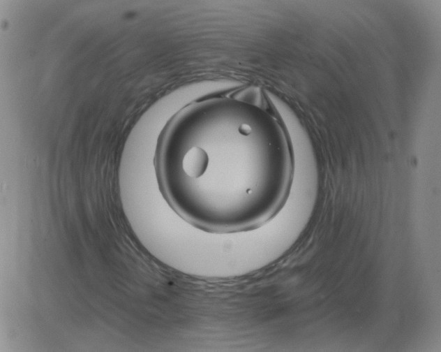 X0000081491202200702021914