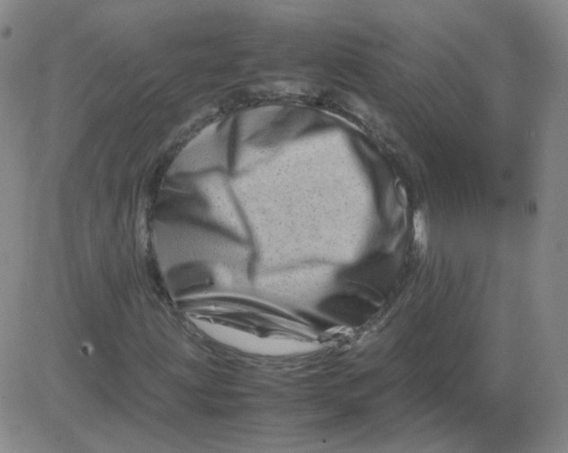 X0000081491203200702021914