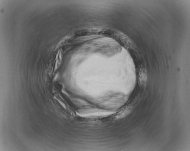 X0000081491204200702021914