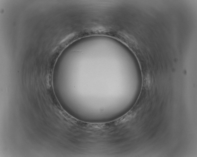 X0000081491205200702021914