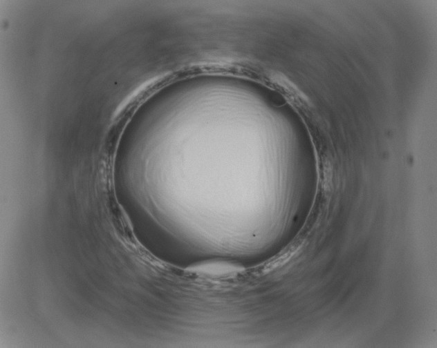 X0000081491208200702021914